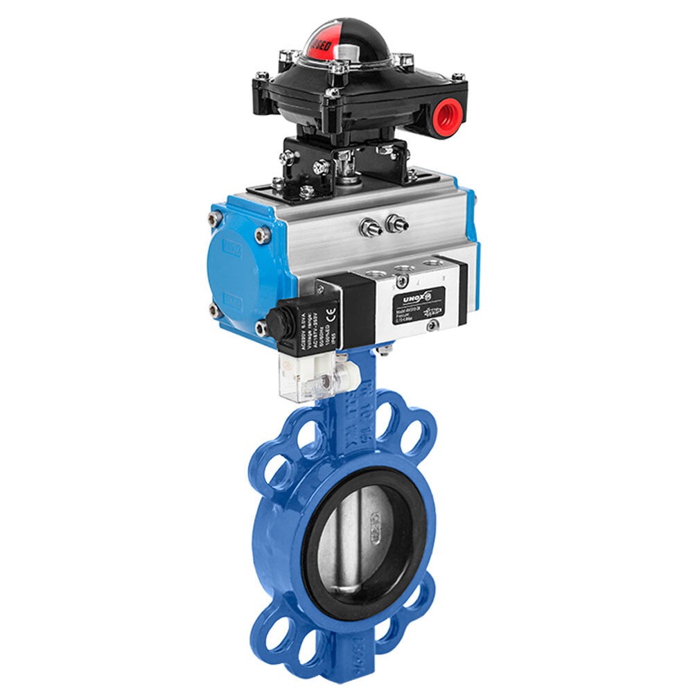 Pneumatic Butterfly Valve 3