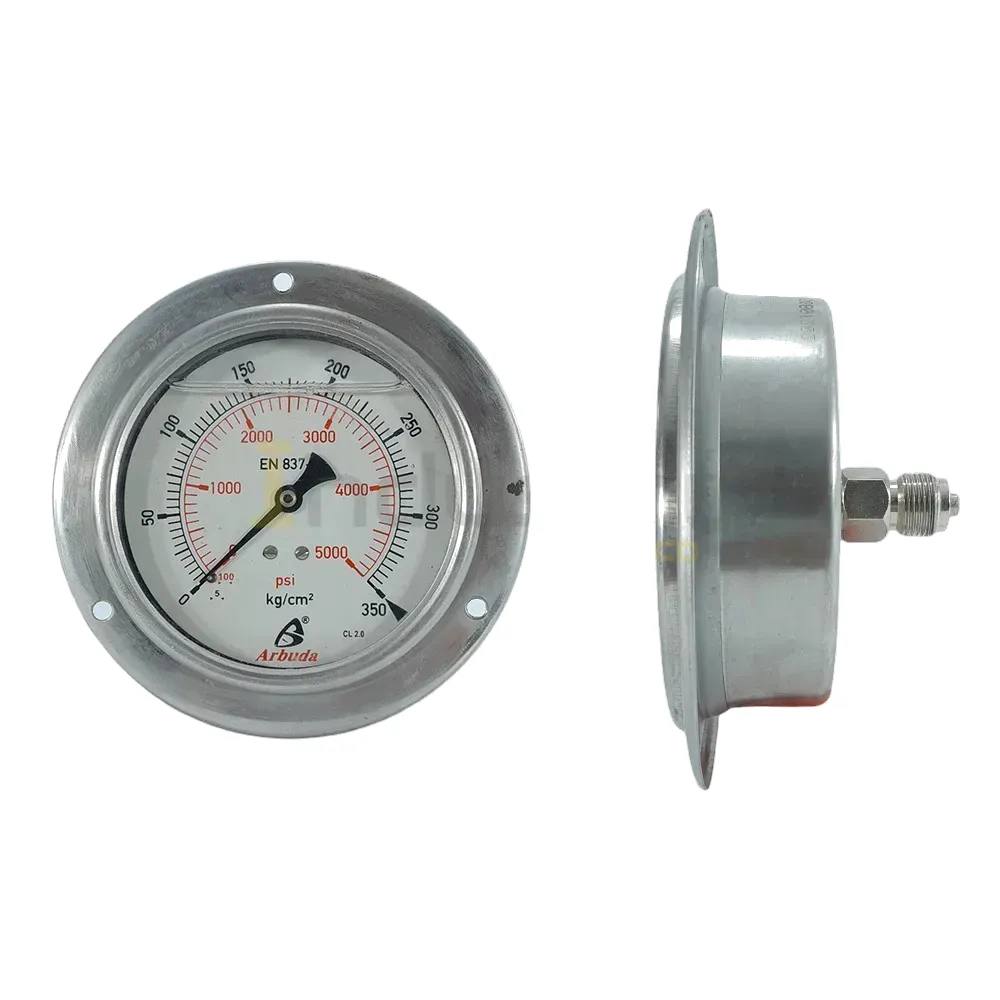 Pressure Gauge 1