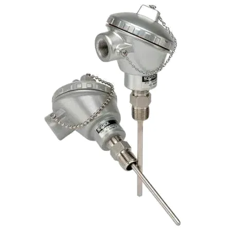 RTD Sensor 1
