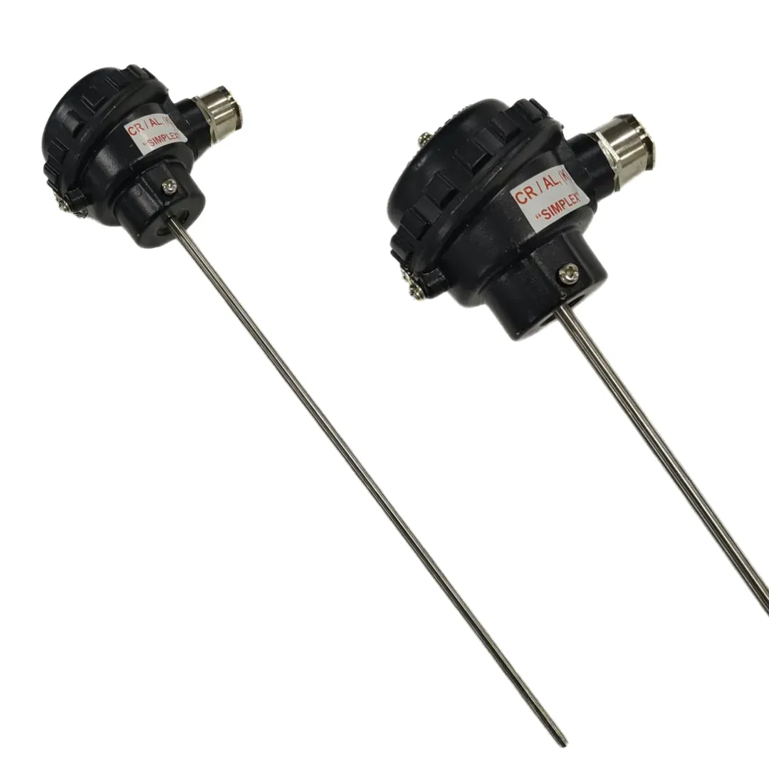 RTD Sensor 3
