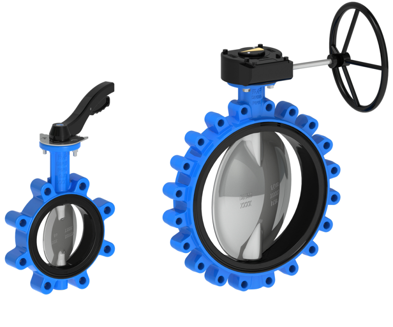 Butterfly Valve 1