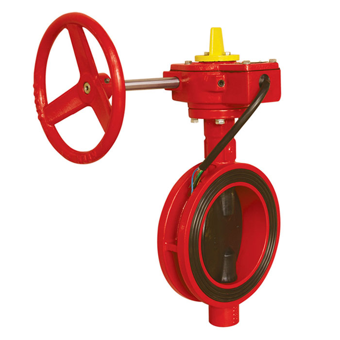 Butterfly Valve 2