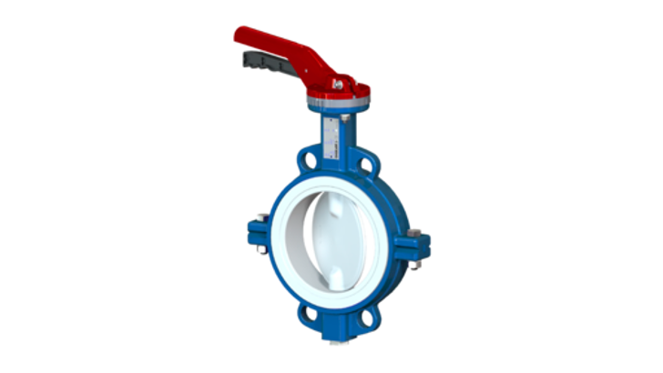Butterfly Valve 3