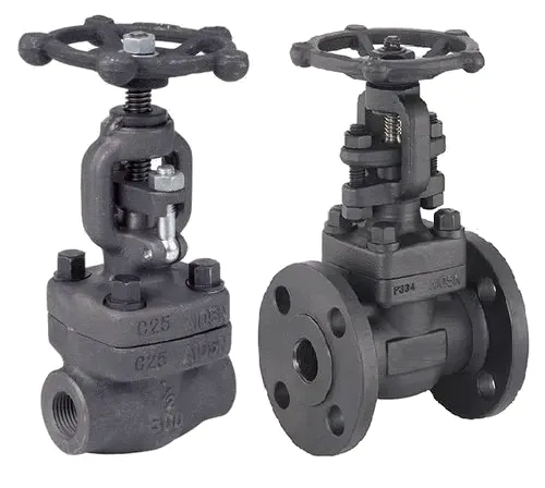 Gate Valve 3