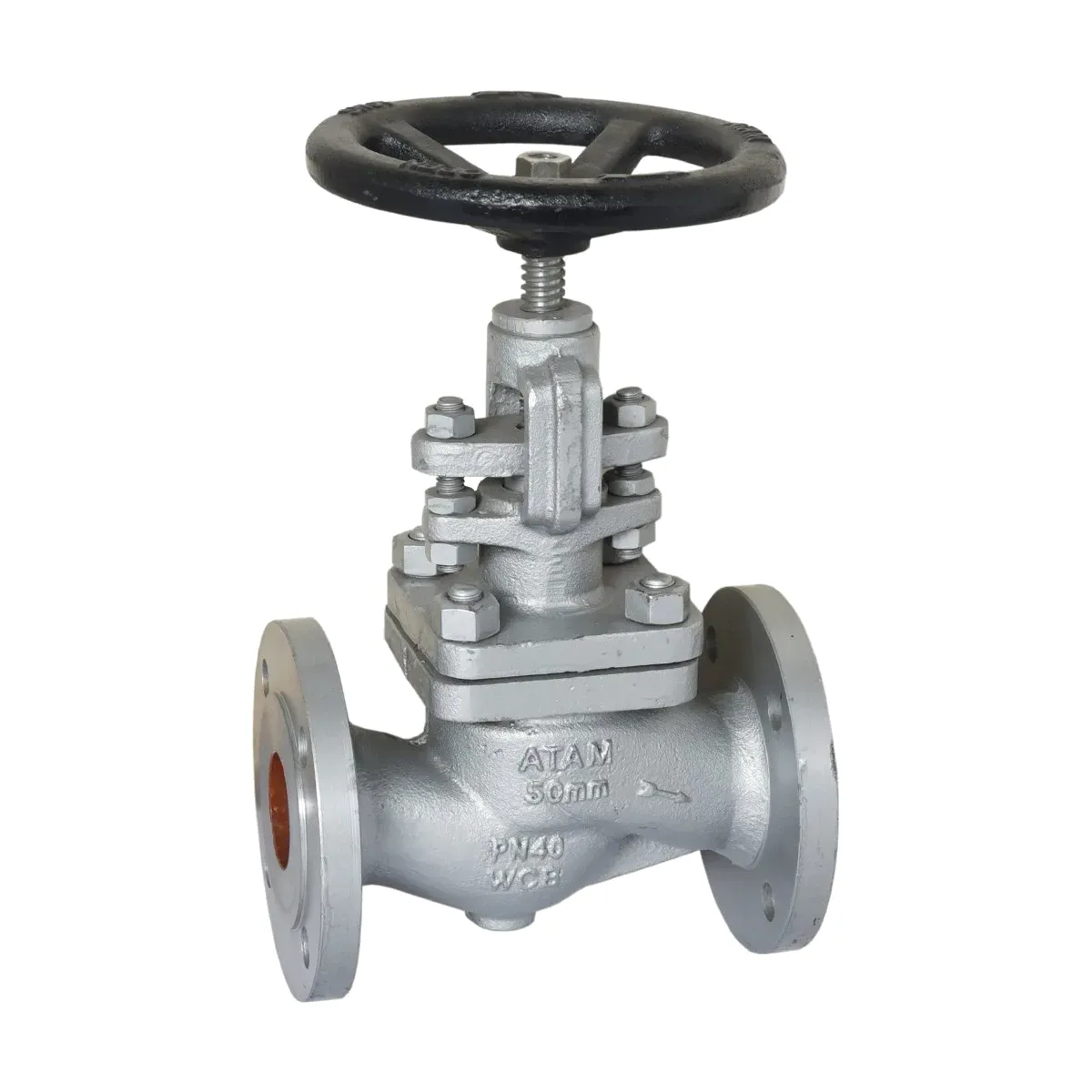 Globe Valve 1