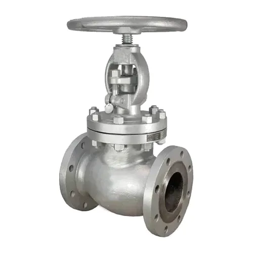 Globe Valve 2