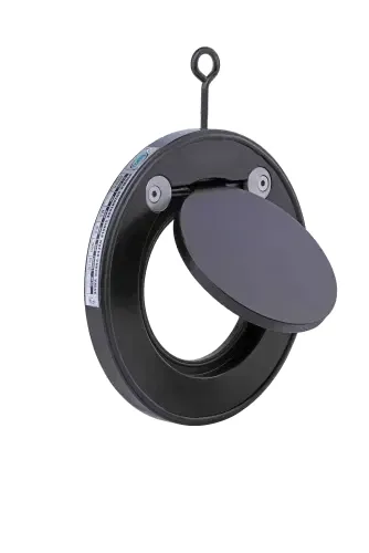 NRV 2