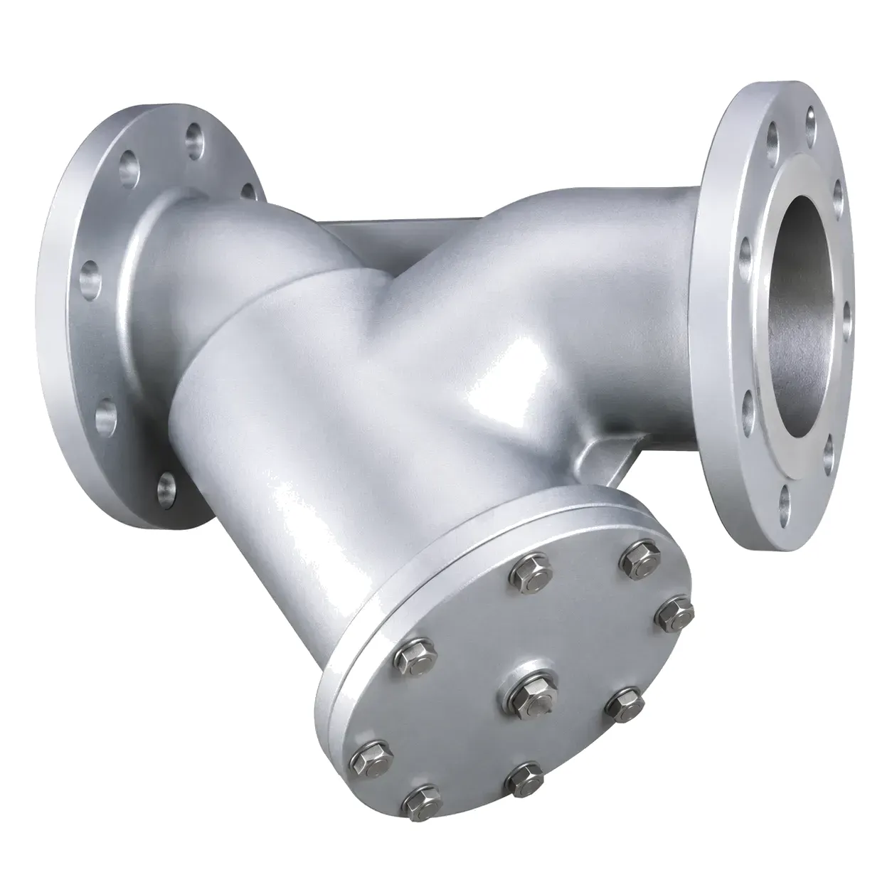 Strainer Main